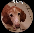 Riley Bethem. 2002-2015